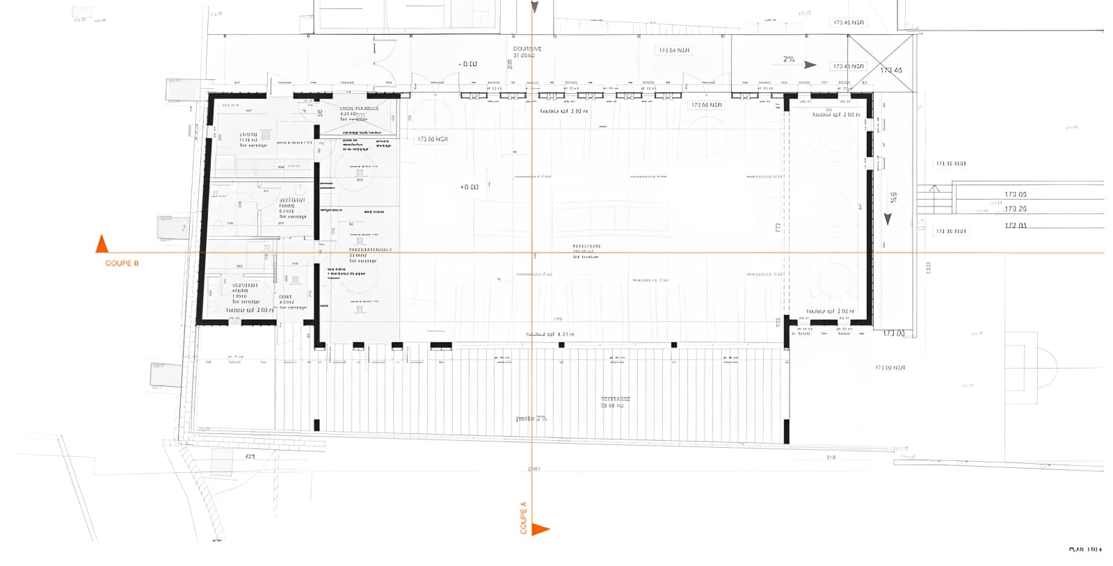 plan-fleurs-de-cannes.webp